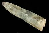 Quartz Crystal with Black Tourmaline Inclusions - Namibia #69189-1